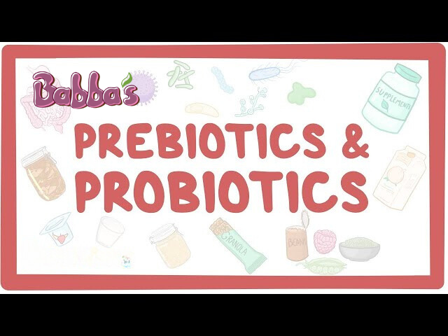 Prebiotic và probiotic khác nhau ở điểm nào, cách phân biệt?